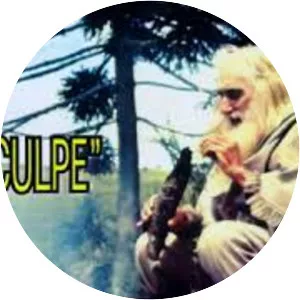 Os Bertussi - Musical artist