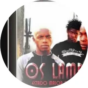 Os Lambas - Musical artist