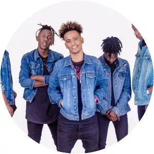 Os Moikanos - Musical artist