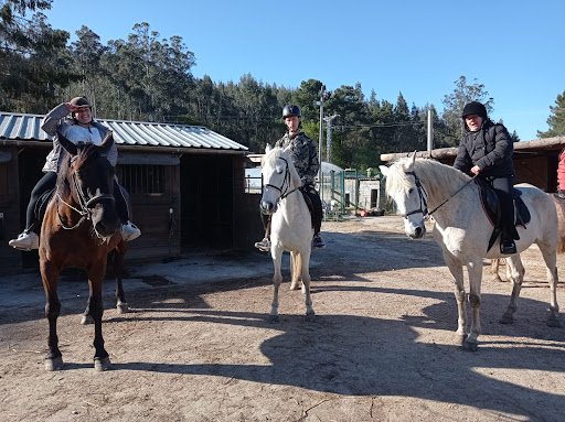 Os Parrulos, Club Ecuestre - Horseback riding service in Spain