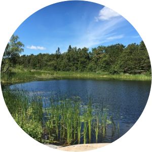 Ösbyträsk Nature Reserve