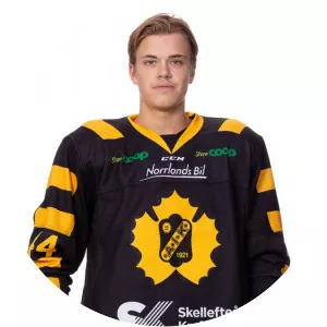 Oscar Eriksson - Ice hockey player