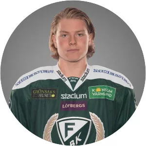 Oskar Steen - Ice hockey forward