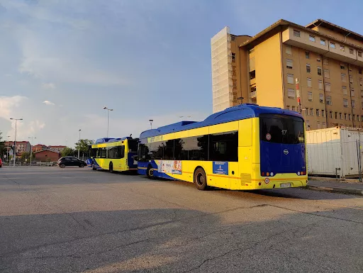 Ospedale Di Rivoli Cap - Bus stop in Rivoli, Italy
