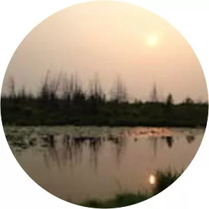 ​Osprey Wetlands Conservation Area - 