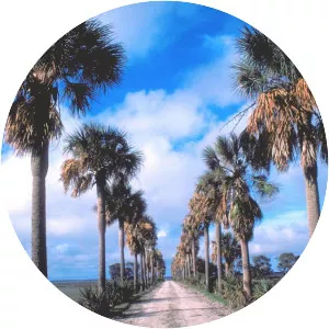 Ossabaw Island - Island in Georgia