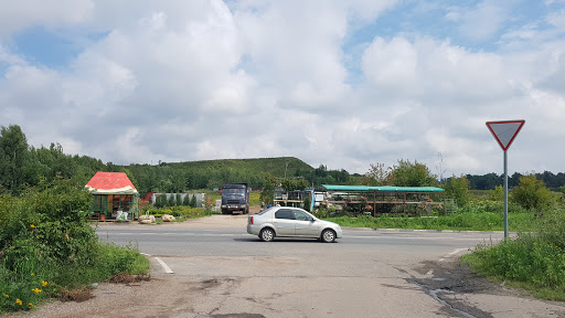 Ostanovka Novaya Skhodnya Avtobusy 22 I 370 - Transportation service in Russia