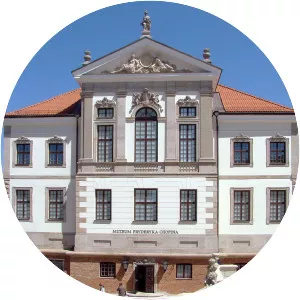 Ostrogski Palace