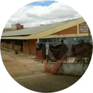 Otávio Marcondes Ferraz