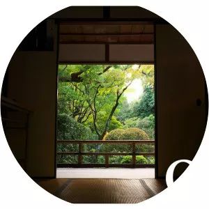 OTESLA - Musical artist