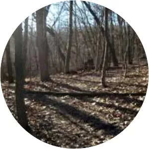 Ott Biological Preserve - 