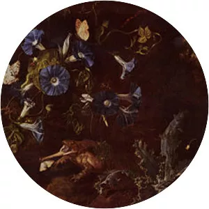 Otto Marseus van Schrieck