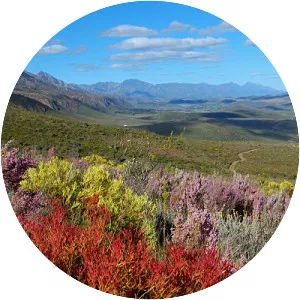 Oudtshoorn - Town in South Africa