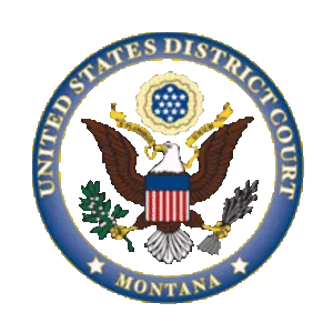 Ouellette v. Viacom International Inc.