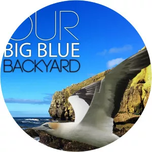 Our Big Blue Backyard