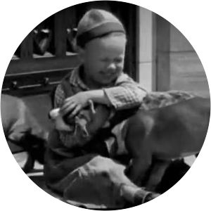 Our Gang Pups Is Pups