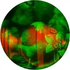 Our Lady of the Sphere - 1972 ‧ Short/Animation ‧ 10 mins