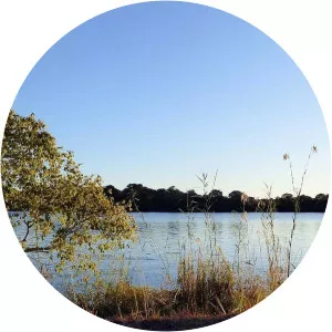 Our Wildest Dreams - TV program