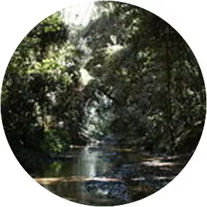 Ourimbah Creek