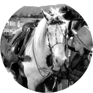 Out West with the Hardys