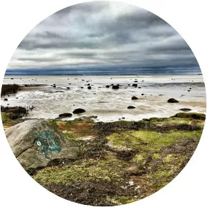 Over Dråby Strand - 