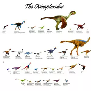 Oviraptoridae