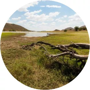 Oviston Nature Reserve - 