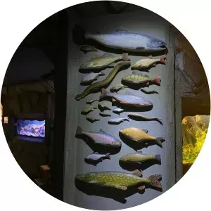 övralid vätternakvariet i motala