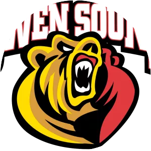 Owen Sound Attack