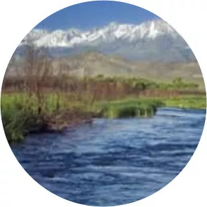 Owens Valley - 