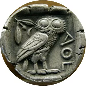 Owl of Athena photograph