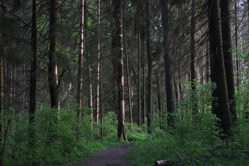 Ozdorovitel'nyy Lager' Iskra - Boot camp in Russia