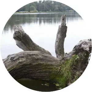 Ozero Berizka (Parku Hidropark)