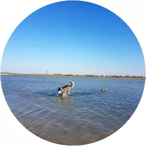 Ozero Dzharylgach - Lake in Europe