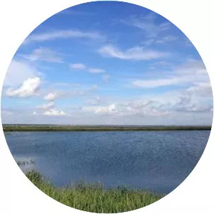 Ozero Kurlady - Lake in Russia