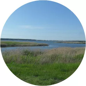 Ozero Kurochkino - Lake in Russia