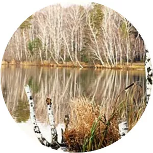 Ozero Selezyan - Lake in Russia