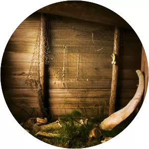 Ozette Indian Village Archeological Site - 