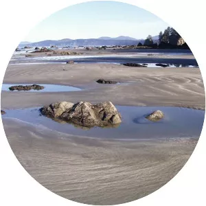 Ozette River - Stream in Washington