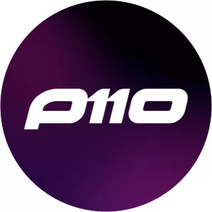 P110 - Musical artist