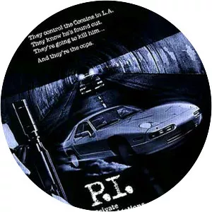 P. I. Private Investigations