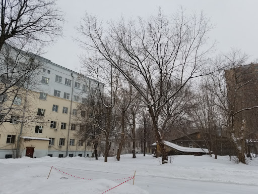 P.K. Anokhin Institute Of Normal Physiology