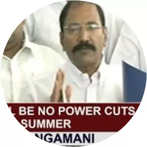 P. Thangamani - Member of Tamil Nadu Legislative Assembly