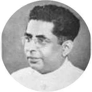 P. V. Rajamannar