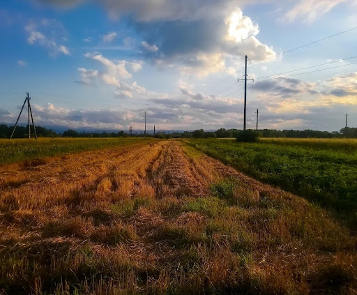 P'yadyky - Housing development in P'yadyky, Ukraine