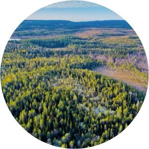 Paanajärvi National Park