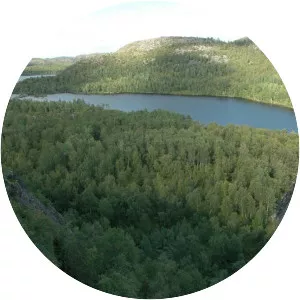 Paatsjoki - River in Europe