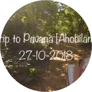 Paavana Narasimha Swamy Temple(Paamuletayya Kshetram) - 