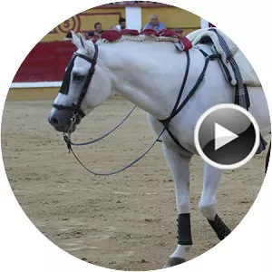 Pablo Hermoso de Mendoza