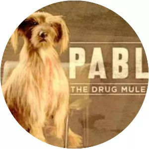 Pablo the Drug Mule Dog
